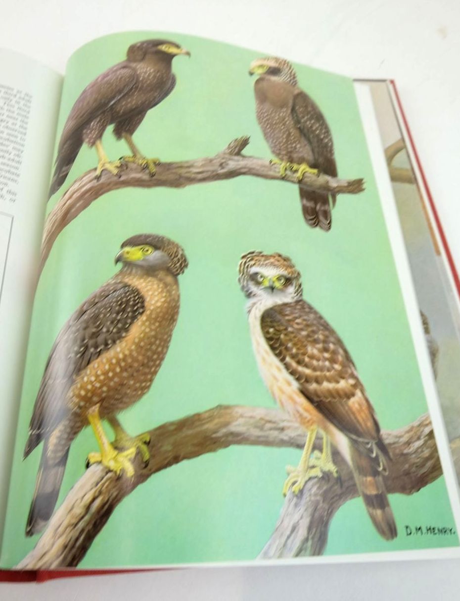 Photo of EAGLES, HAWKS AND FALCONS OF THE WORLD (2 VOLUMES) written by Brown, Leslie H.
Amadon, Dean illustrated by Peterson, Roger Tory
et al.,  published by Country Life (STOCK CODE: 1820533)  for sale by Stella & Rose's Books
