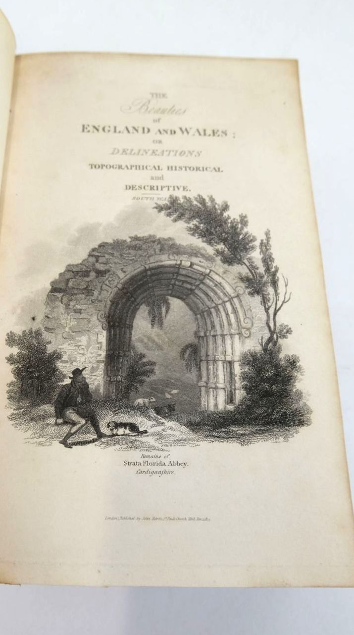 Photo of BEAUTIES OF ENGLAND AND WALES VOL. XVIII SOUTH WALES written by Rees, Thomas published by John Harris (STOCK CODE: 1821252)  for sale by Stella & Rose's Books