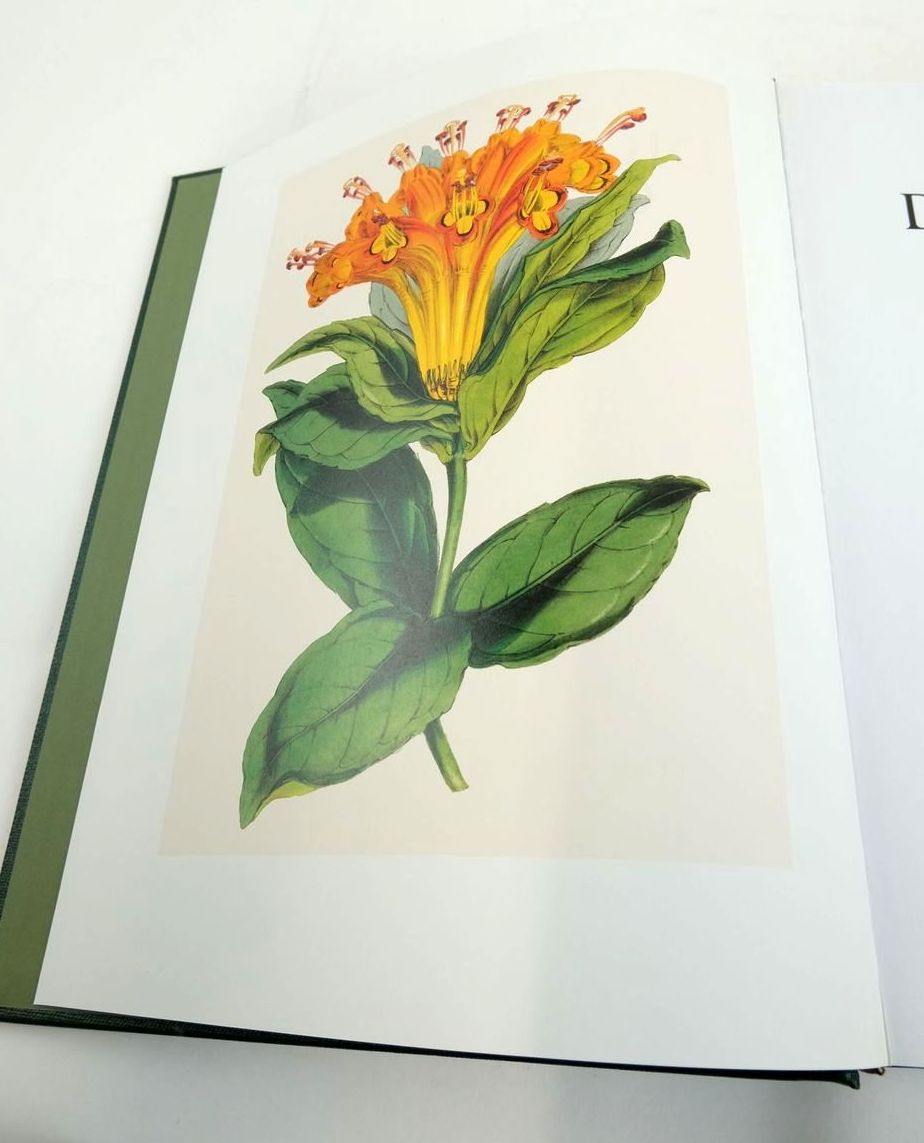 Photo of THE NEW ROYAL HORTICULTURAL SOCIETY DICTIONARY OF GARDENING (4 VOLUMES) written by Huxley, Anthony
Griffiths, Mark
Levy, Margot published by Royal Horticultural society (STOCK CODE: 1822265)  for sale by Stella & Rose's Books