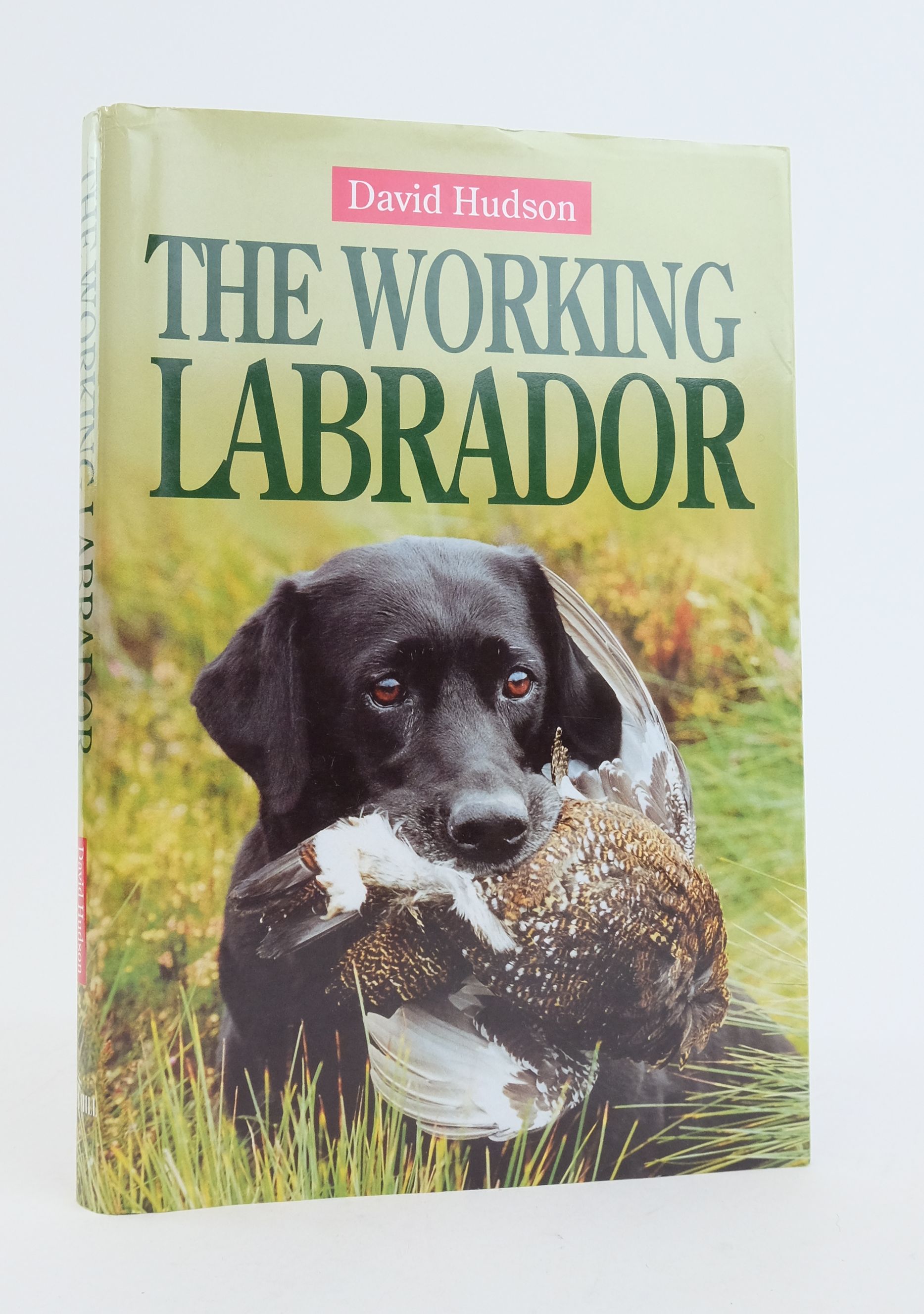 Photo of THE WORKING LABRADOR written by Hudson, David published by Swan Hill Press (STOCK CODE: 1822376)  for sale by Stella & Rose's Books