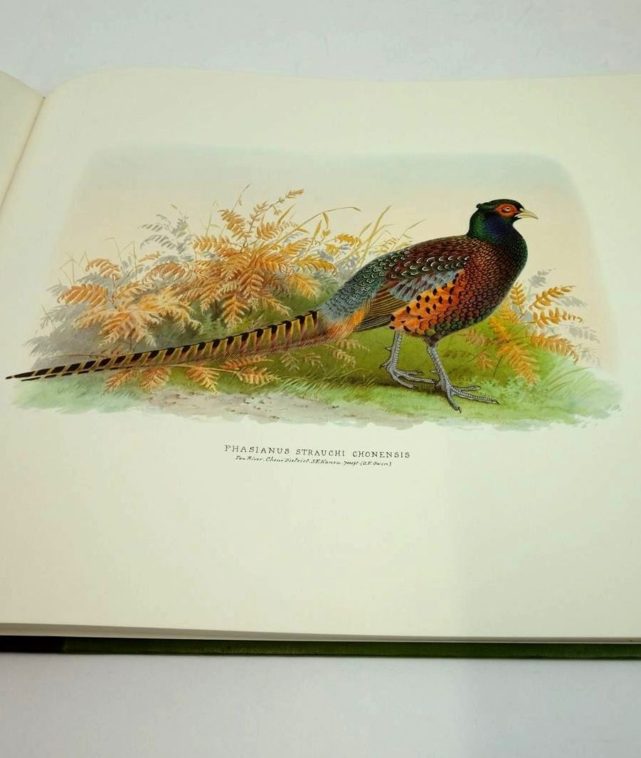 Photo of THE BIRD PAINTINGS OF HENRY JONES written by Campbell, Bruce illustrated by Jones, Henry published by Folio Society (STOCK CODE: 1822784)  for sale by Stella & Rose's Books