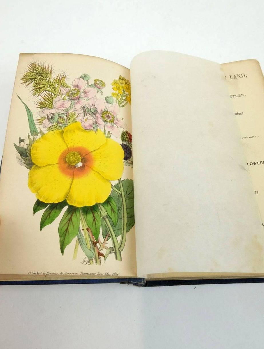 Photo of FLOWERS FROM THE HOLY LAND written by Tyas, Robert illustrated by Andrews, James published by Houlston and Stoneman (STOCK CODE: 1823260)  for sale by Stella & Rose's Books