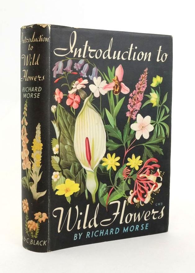 Photo of INTRODUCTION TO WILDFLOWERS- Stock Number: 1823279