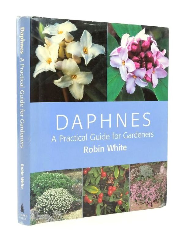 Photo of DAPHNES: A PRACTICAL GUIDE FOR GARDENERS written by White, Robin published by Timber Press (STOCK CODE: 1823746)  for sale by Stella & Rose's Books