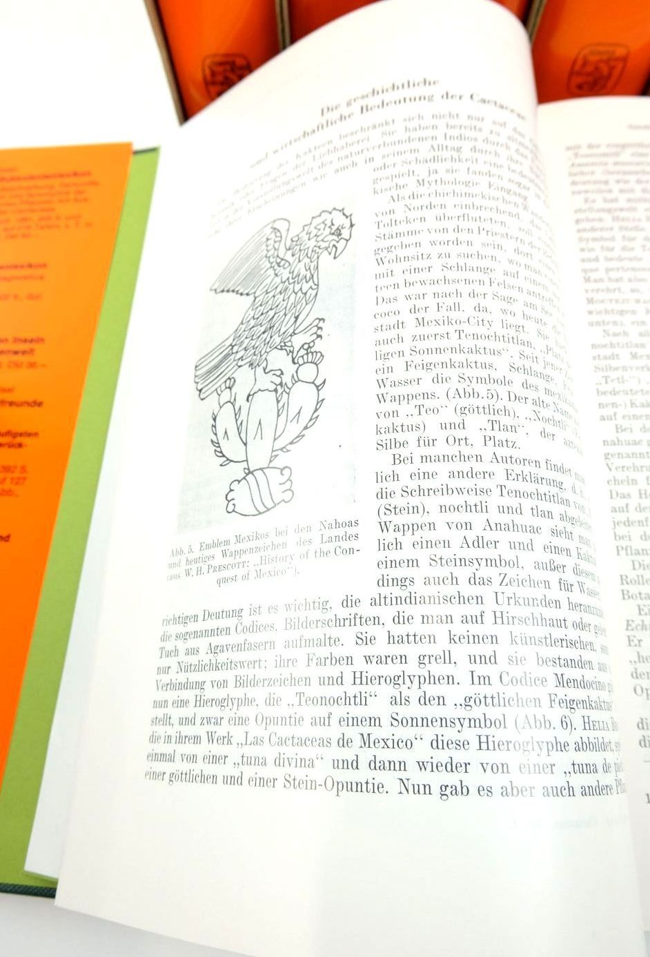 Photo of DIE CACTACEAE: HANDBUCH DER KAKTEENKUNDE (6 VOLUMES) written by Backeberg, Curt published by Gustav Fischer Verlag (STOCK CODE: 1823917)  for sale by Stella & Rose's Books