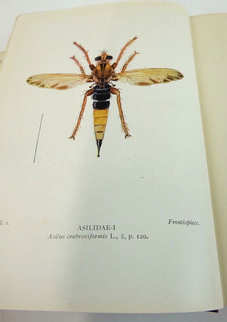 Photo of FLIES OF THE BRITISH ISLES written by Colyer, Charles N.
Hammond, Cyril O. published by Frederick Warne & Co Ltd. (STOCK CODE: 1824126)  for sale by Stella & Rose's Books