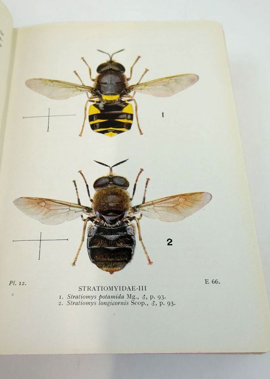 Photo of FLIES OF THE BRITISH ISLES written by Colyer, Charles N.
Hammond, Cyril O. published by Frederick Warne & Co Ltd. (STOCK CODE: 1824126)  for sale by Stella & Rose's Books