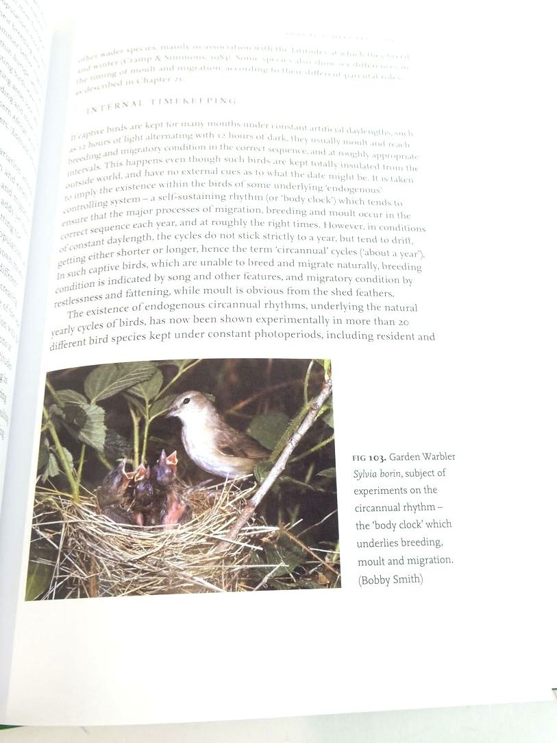 Photo of BIRD MIGRATION (NN 113) written by Newton, Ian published by Collins (STOCK CODE: 1824640)  for sale by Stella & Rose's Books