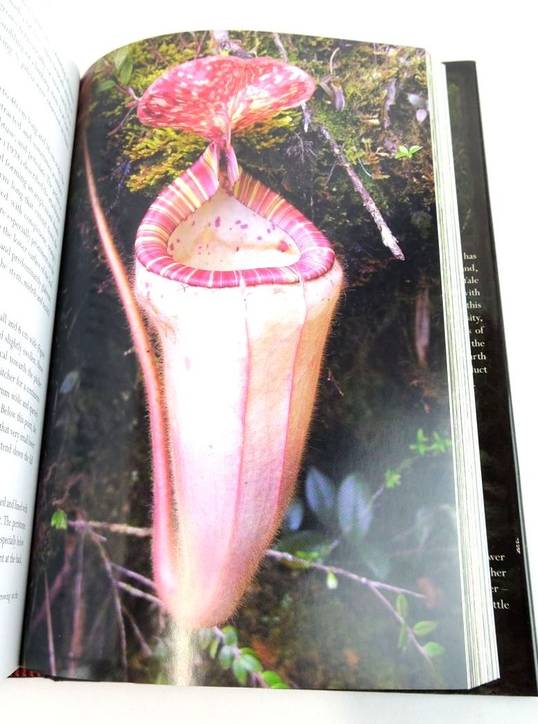 Photo of PITCHER PLANTS OF THE OLD WORLD VOLUME ONE written by McPherson, Stewart published by Redfern Natural History Productions (STOCK CODE: 1824709)  for sale by Stella & Rose's Books
