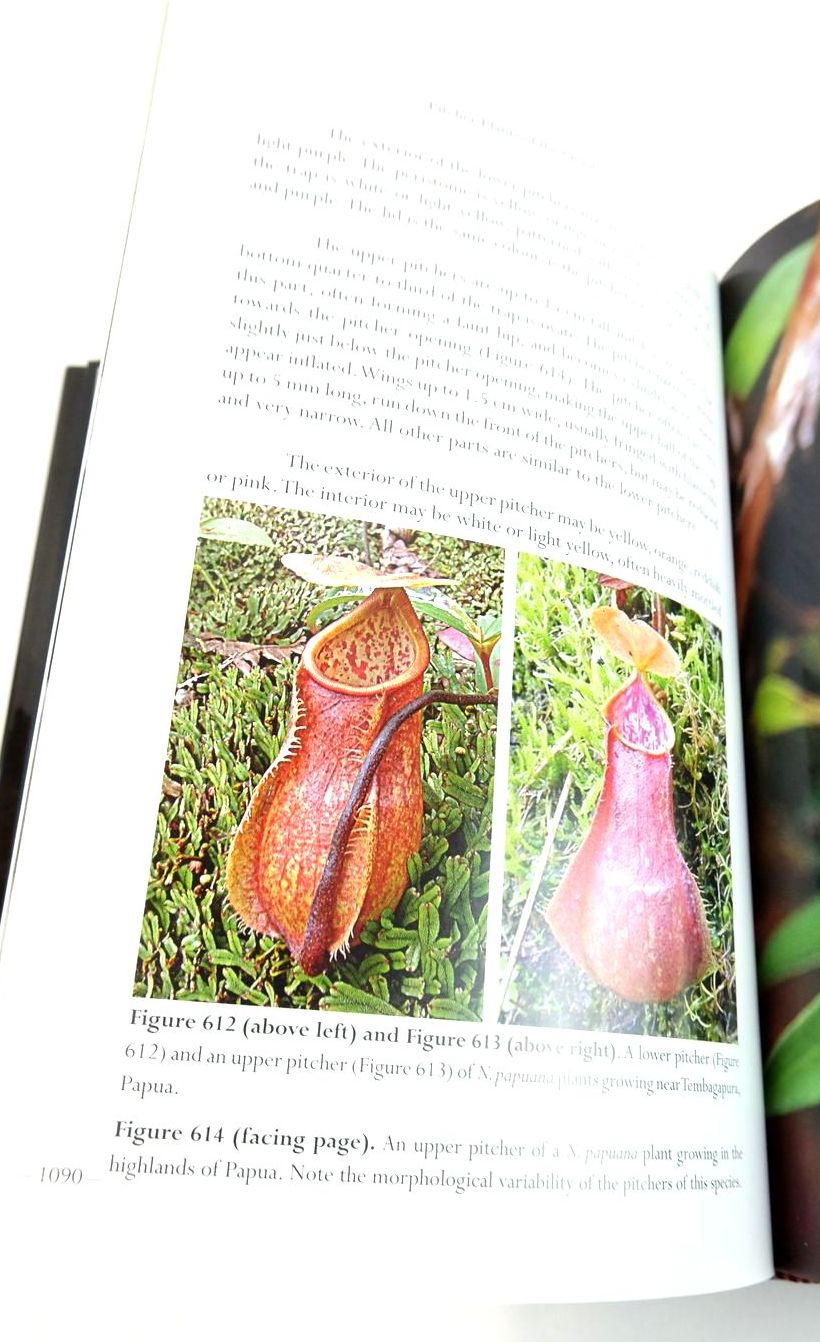 Photo of PITCHER PLANTS OF THE OLD WORLD VOLUME TWO written by McPherson, Stewart published by Redfern Natural History Productions (STOCK CODE: 1824710)  for sale by Stella & Rose's Books