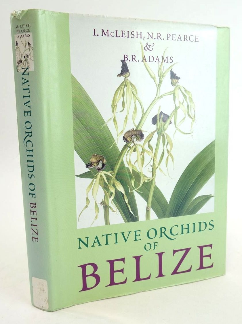 Photo of NATIVE ORCHIDS OF BELIZE- Stock Number: 1824742