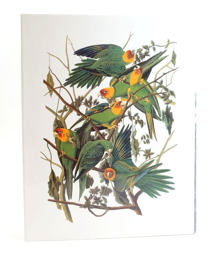 Photo of AUDUBON'S BIRDS OF AMERICA written by Peterson, Roger Tory
Peterson, Virginia Marie illustrated by Audubon, John James published by Abbeville Press (STOCK CODE: 1824934)  for sale by Stella & Rose's Books