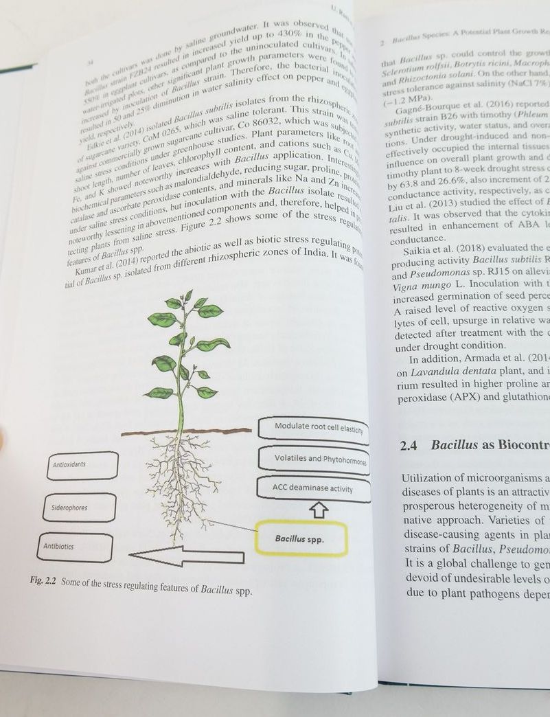Photo of BACILLI AND AGROBIOTECHNOLOGY: PHYTOSTIMULATION AND BIOCONTROL VOLUME 2 written by Islam, Tofazzal
Rahman, M. Mahfuz
et al, published by Springer (STOCK CODE: 1825103)  for sale by Stella & Rose's Books