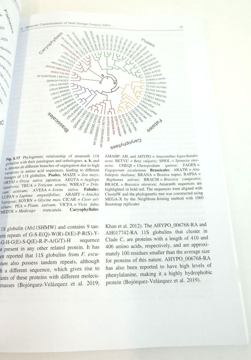 Photo of THE AMARANTH GENOME (COMPENDIUM OF PLANT GENOMES) written by Adhikary, Dinesh
Deyholos, Michael K.
Delano-Frier, John P. published by Springer (STOCK CODE: 1825189)  for sale by Stella & Rose's Books