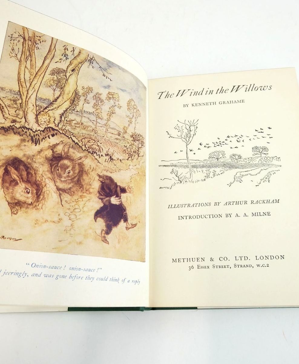 Photo of THE WIND IN THE WILLOWS written by Grahame, Kenneth illustrated by Rackham, Arthur published by Methuen & Co. Ltd. (STOCK CODE: 1825436)  for sale by Stella & Rose's Books