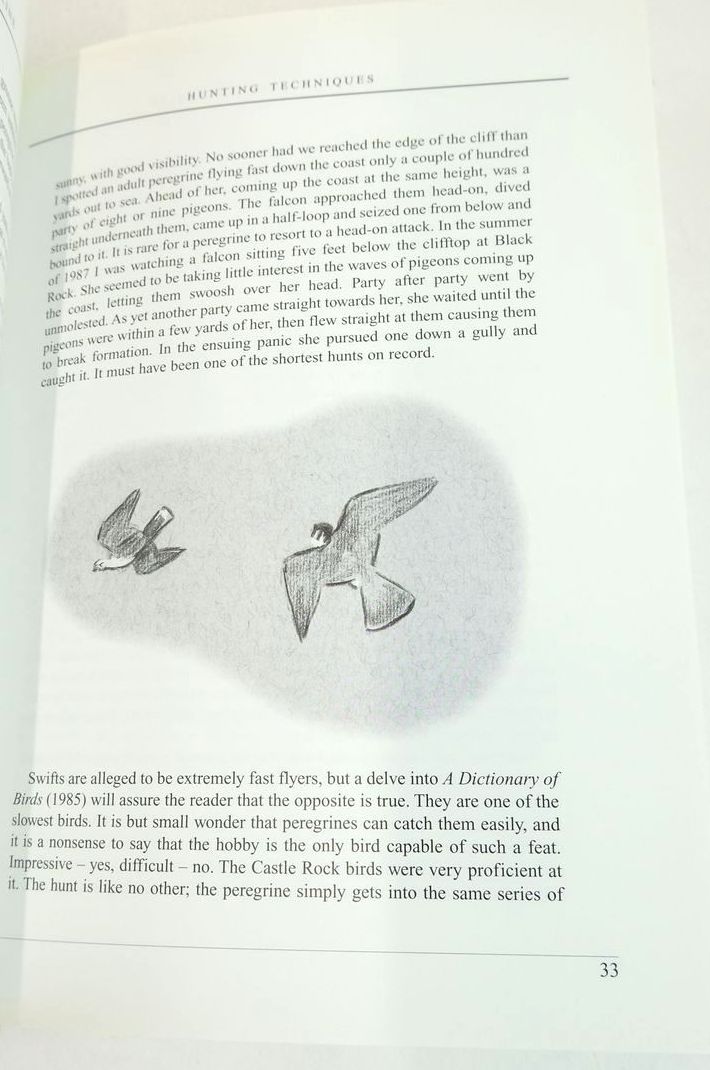 Photo of IN PURSUIT OF THE PEREGRINE written by Treleaven, R.B. illustrated by Treleaven, R.B. published by Tiercel Publishing (STOCK CODE: 1826548)  for sale by Stella & Rose's Books