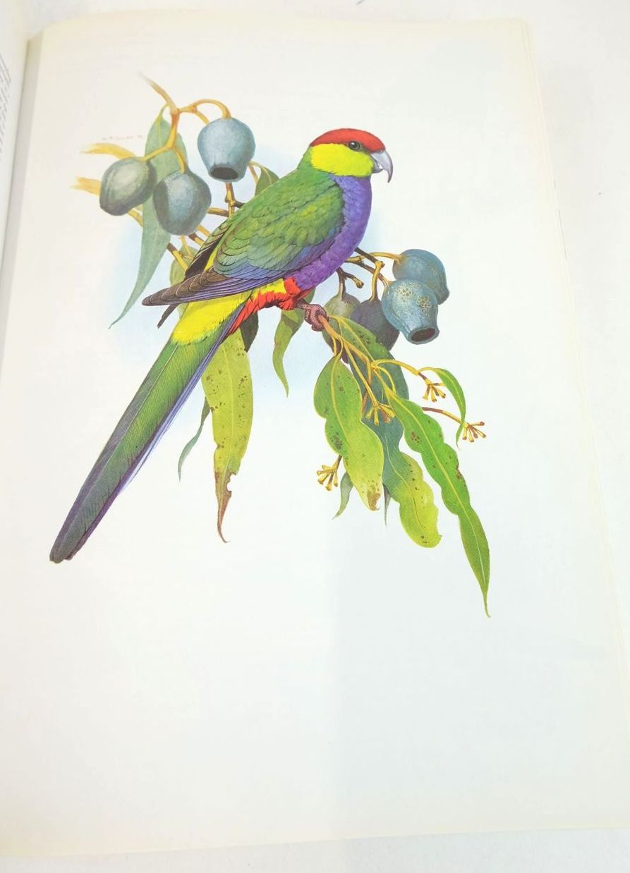 Photo of PARROTS OF THE WORLD written by Forshaw, Joseph M. illustrated by Cooper, William T. published by Blandford Press (STOCK CODE: 1826749)  for sale by Stella & Rose's Books