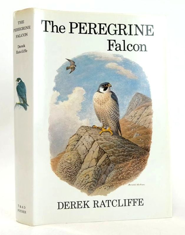 Photo of THE PEREGRINE FALCON written by Ratcliffe, Derek illustrated by Watson, Donald published by T. &amp; A.D. Poyser (STOCK CODE: 1827276)  for sale by Stella & Rose's Books
