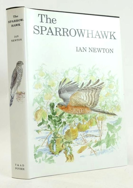 Photo of THE SPARROWHAWK- Stock Number: 1827280