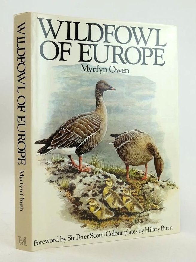 Photo of WILDFOWL OF EUROPE written by Owen, Myrfyn illustrated by Burn, Hilary published by MacMillan (STOCK CODE: 1827283)  for sale by Stella & Rose's Books
