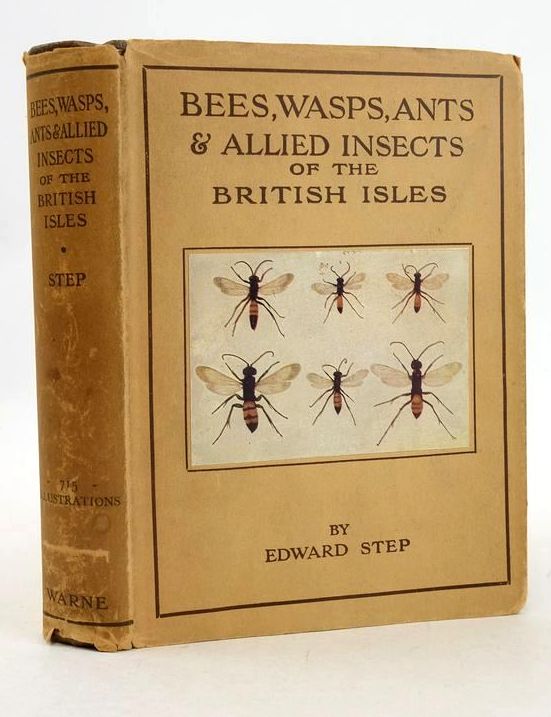 Photo of BEES, WASPS, ANTS & ALLIED INSECTS OF THE BRITISH ISLES written by Step, Edward published by Frederick Warne &amp; Co Ltd. (STOCK CODE: 1827624)  for sale by Stella & Rose's Books