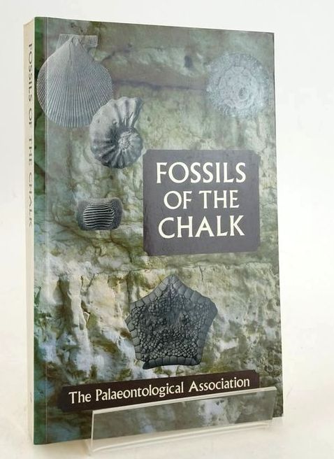 Photo of FOSSILS OF THE CHALK- Stock Number: 1828162