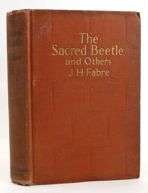 Photo of THE SACRED BEETLE AND OTHERS- Stock Number: 1828839