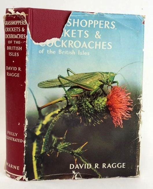 Photo of GRASSHOPPERS, CRICKETS AND COCKROACHES OF THE BRITISH ISLES (WAYSIDE AND WOODLAND SERIES) written by Ragge, David R. illustrated by Swain, H.D. published by Frederick Warne &amp; Co Ltd. (STOCK CODE: 1828874)  for sale by Stella & Rose's Books