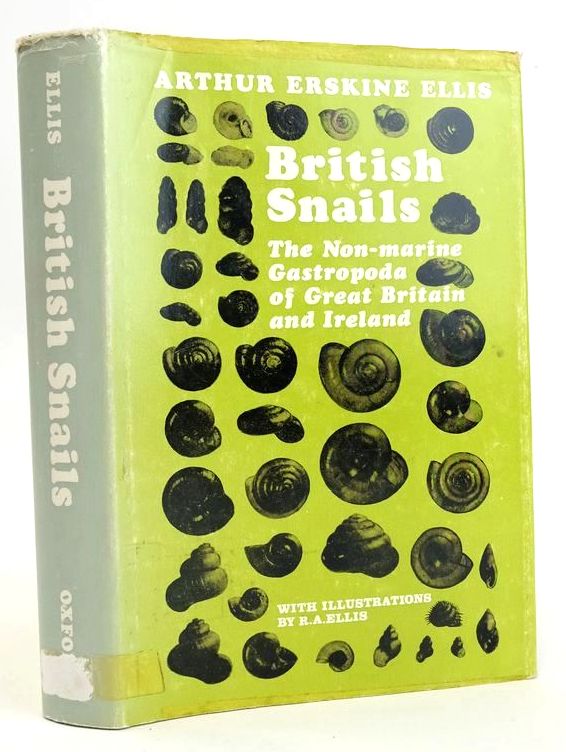 Photo of BRITISH SNAILS- Stock Number: 1828942