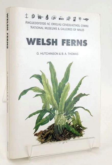 Photo of WELSH FERNS: CLUBMOSSES QUILLWORTS & HORSETAILS- Stock Number: 1828947