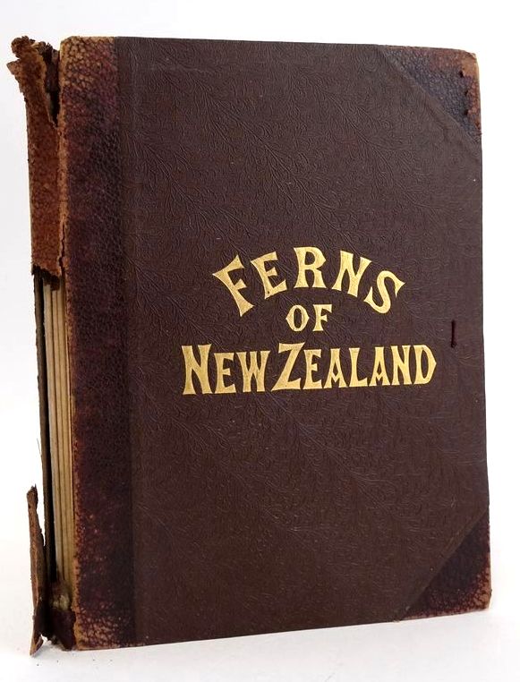 Photo of FERNS OF NEW ZEALAND (STOCK CODE: 1828975)  for sale by Stella & Rose's Books