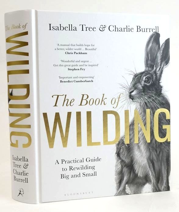 Photo of THE BOOK OF WILDING: A PRACTICAL GUIDE TO REWILDING BIG AND SMALL written by Tree, Isabella Burrell, Charlie illustrated by Helmer, Jeroen published by Bloomsbury Publishing Plc (STOCK CODE: 1829133)  for sale by Stella & Rose's Books