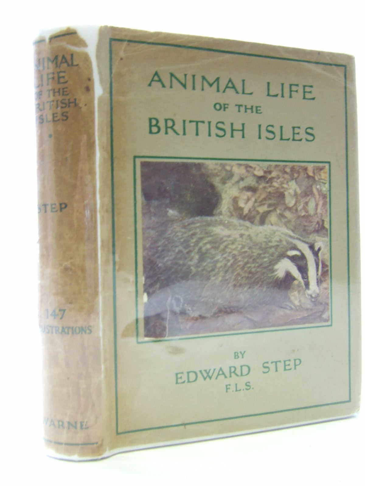 Photo of ANIMAL LIFE OF THE BRITISH ISLES written by Step, Edward published by Frederick Warne &amp; Co Ltd. (STOCK CODE: 2106809)  for sale by Stella & Rose's Books
