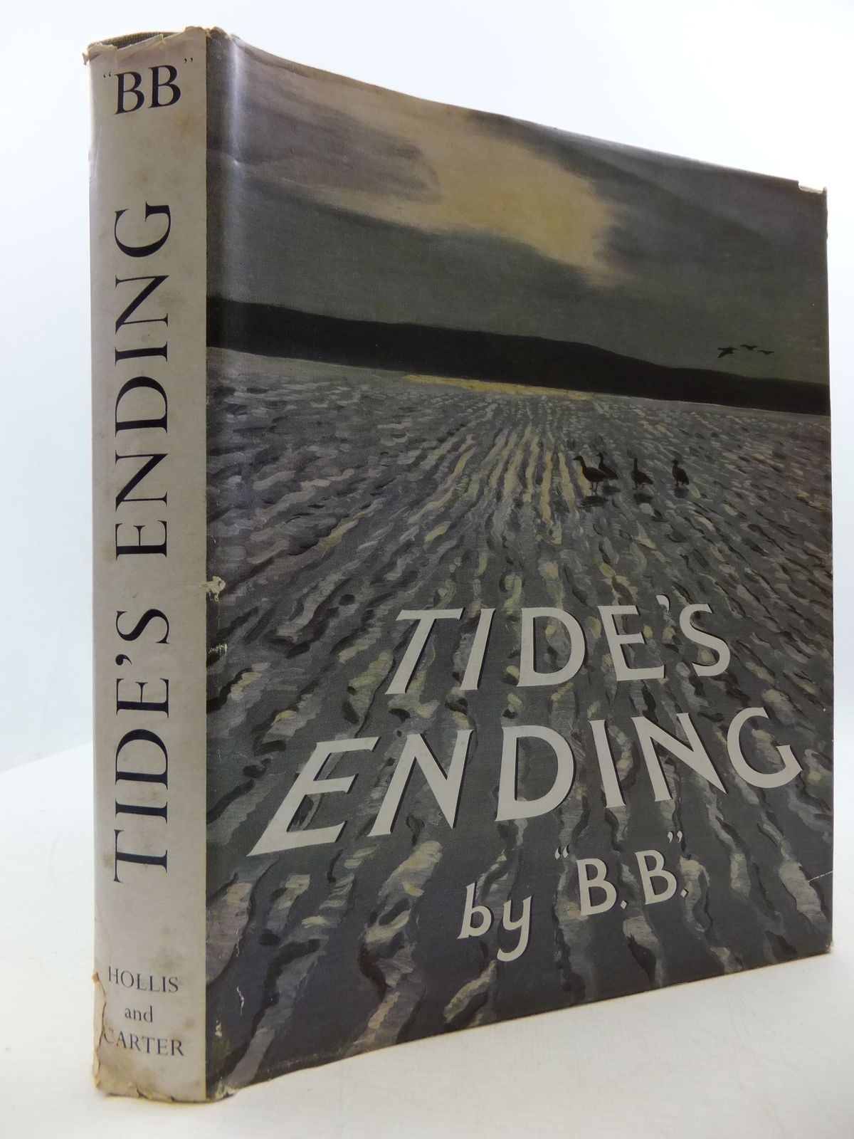 Photo of TIDE'S ENDING- Stock Number: 2110403