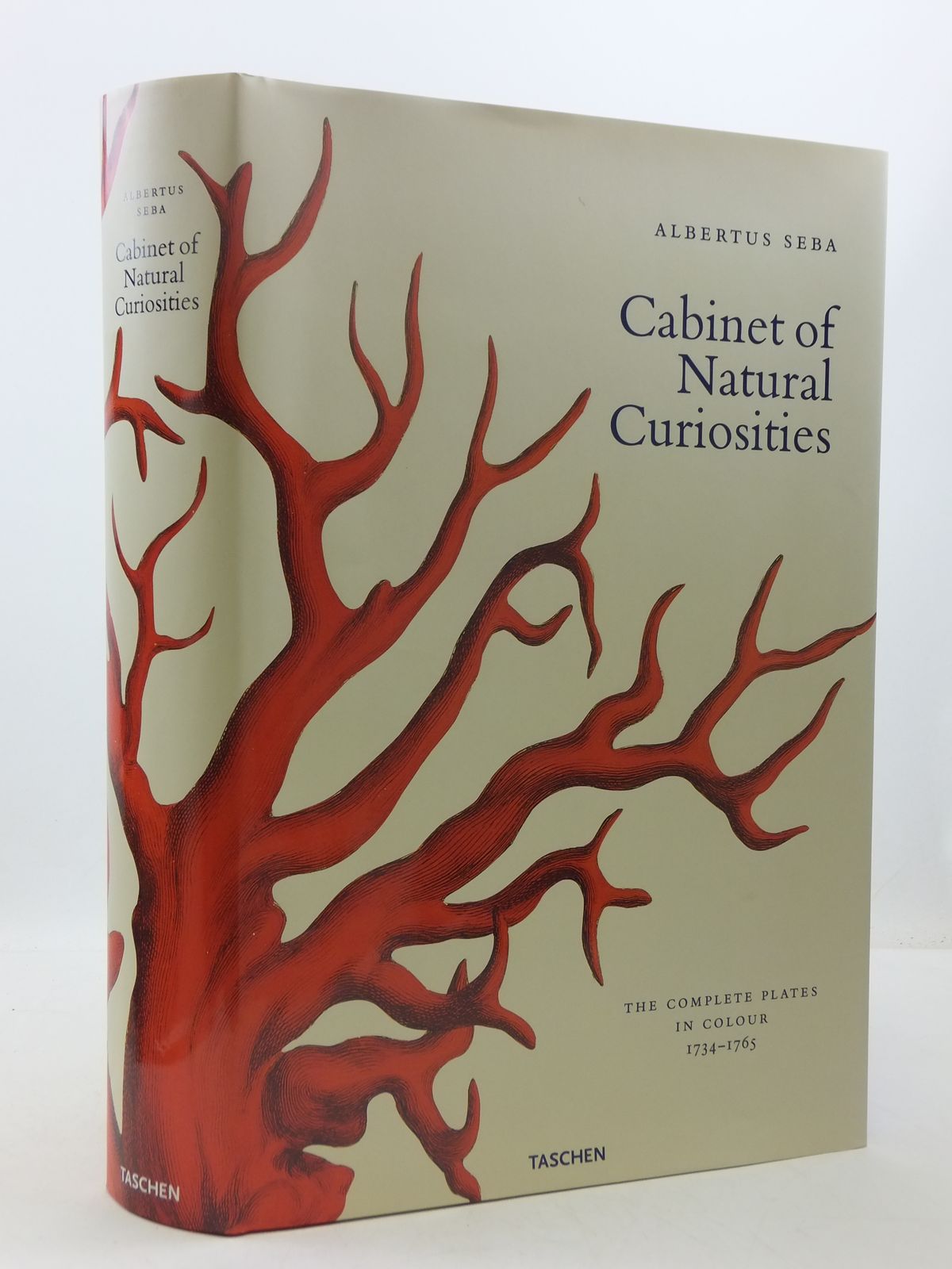 Cabinet of Natural Curiosities25th 洋書
