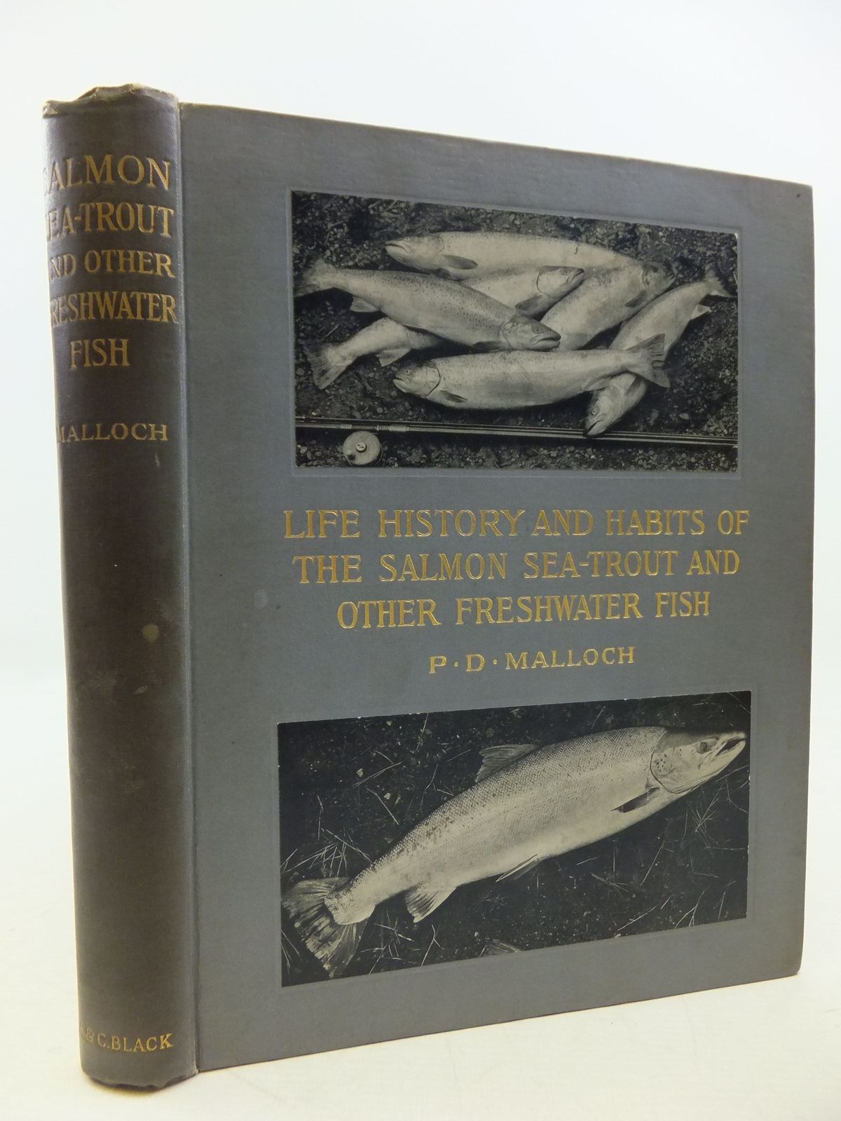 Photo of LIFE HISTORY AND HABITS OF THE SALMON, SEA-TROUT, TROUT AND OTHER FRESHWATER FISH written by Malloch, P.D. published by Adam & Charles Black (STOCK CODE: 2112420)  for sale by Stella & Rose's Books