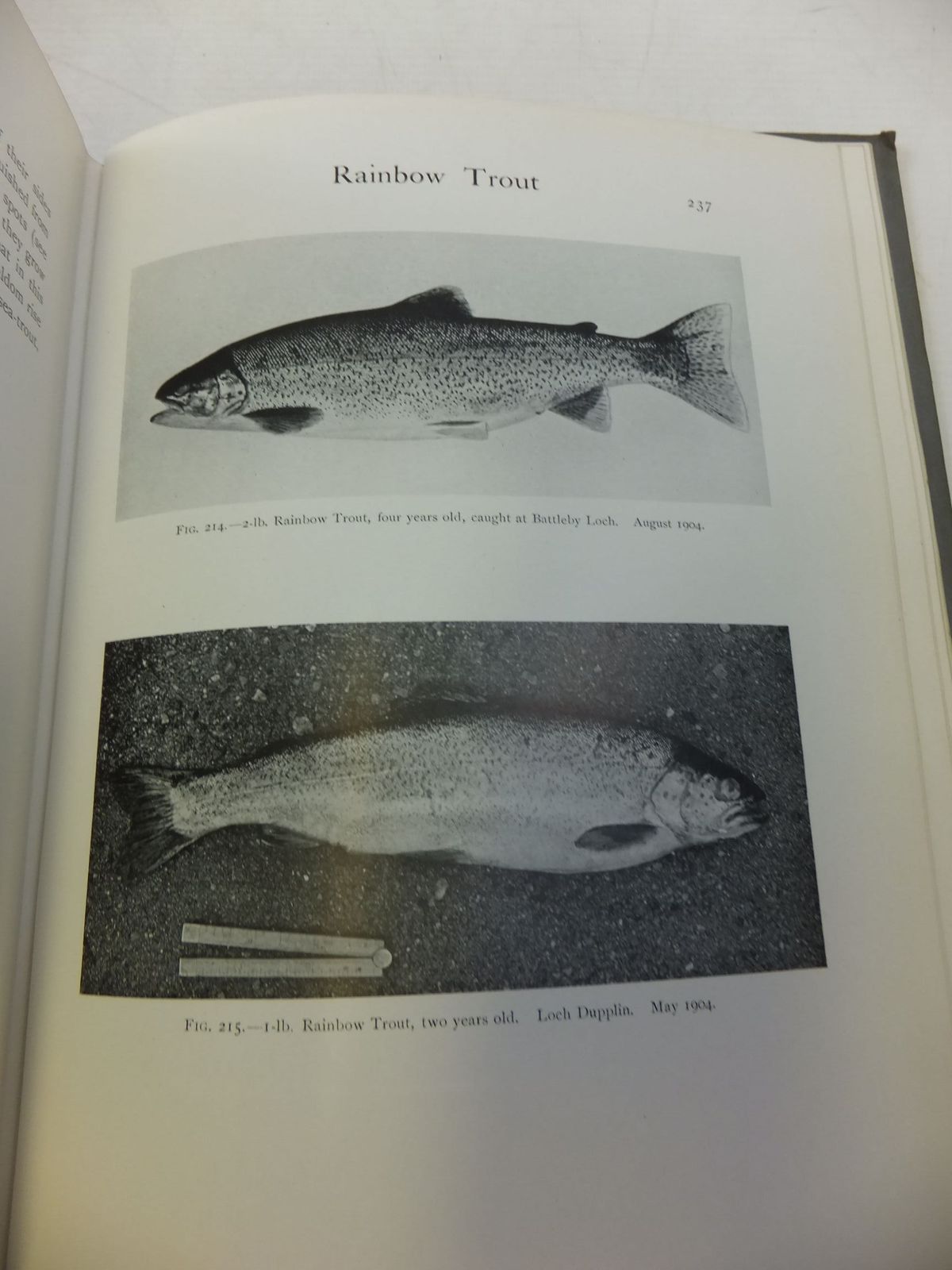 Photo of LIFE HISTORY AND HABITS OF THE SALMON, SEA-TROUT, TROUT AND OTHER FRESHWATER FISH written by Malloch, P.D. published by Adam & Charles Black (STOCK CODE: 2112420)  for sale by Stella & Rose's Books