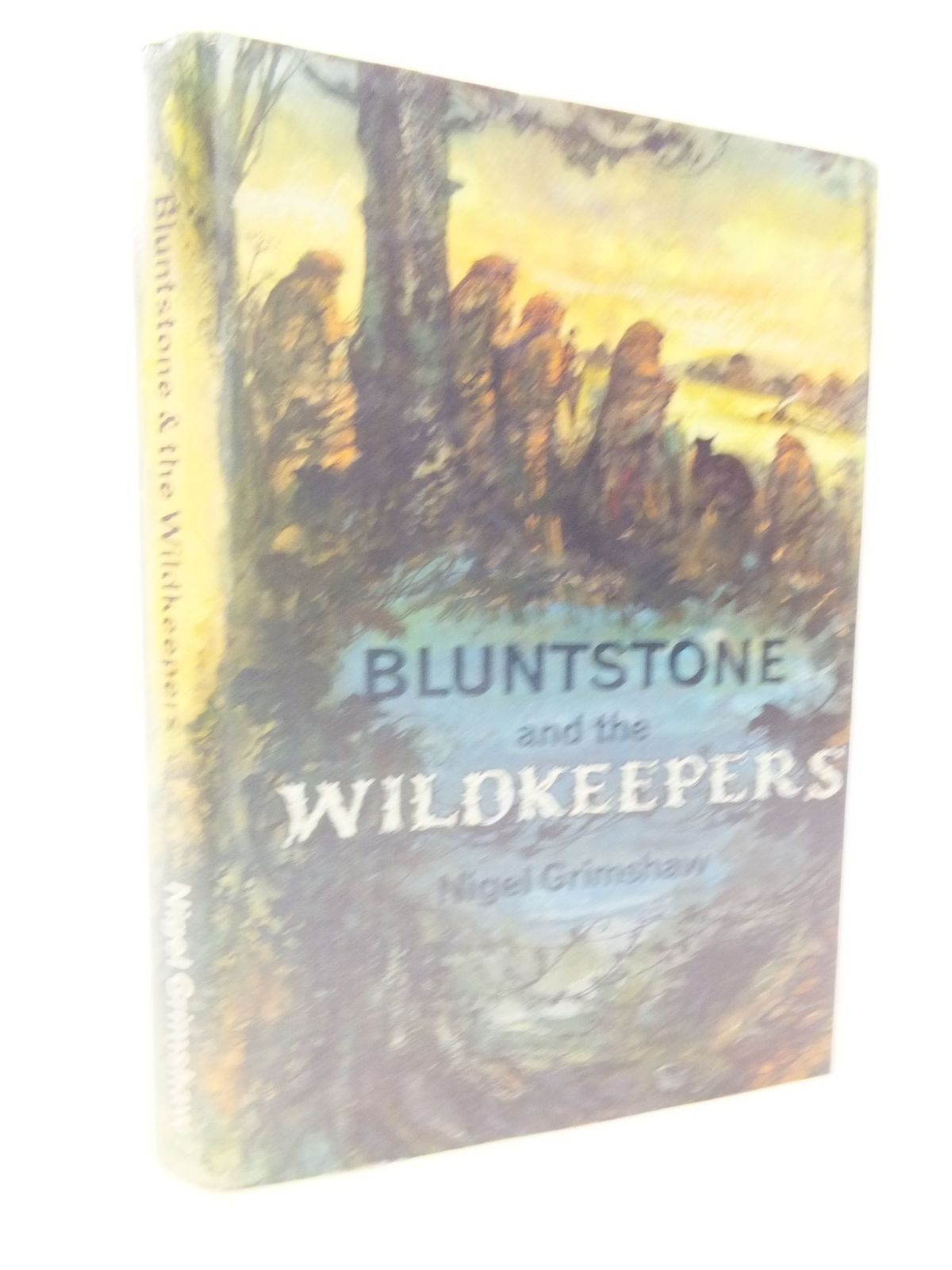 Photo of BLUNTSTONE AND THE WILDKEEPERS- Stock Number: 2113920
