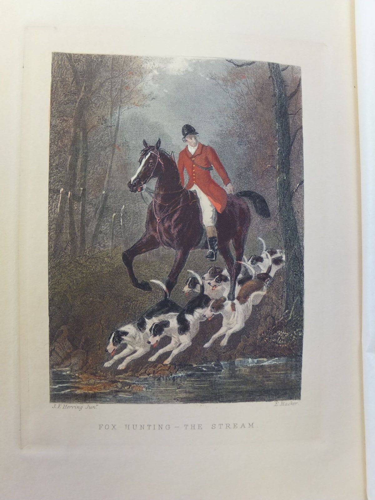 Photo of NOTITIA VENATICA A TREATISE ON FOX-HUNTING written by Vyner, Robert T.
Blew, William C.A. illustrated by Aiken, Henry
et al., published by John C. Nimmo (STOCK CODE: 2114975)  for sale by Stella & Rose's Books