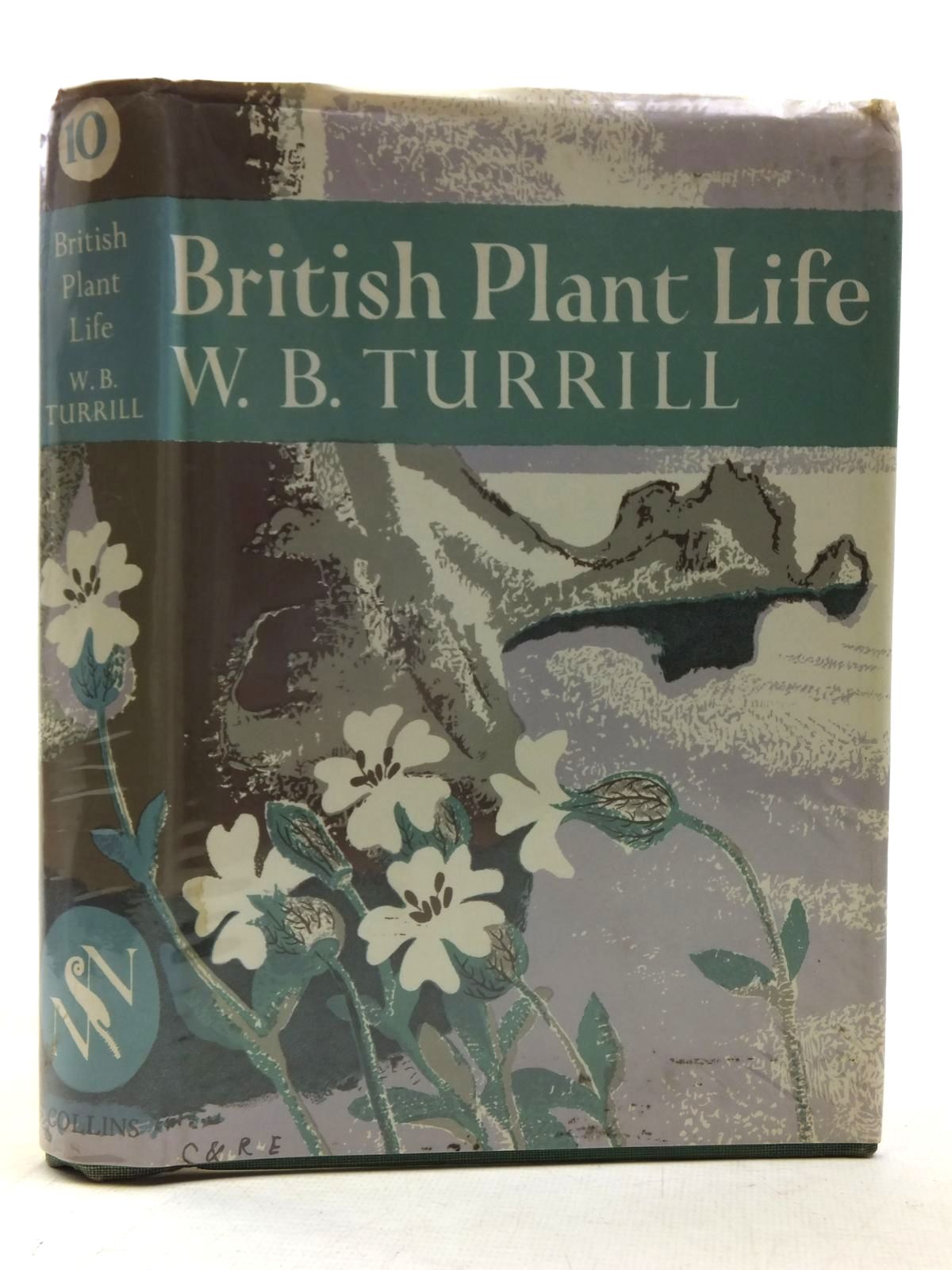 Photo of BRITISH PLANT LIFE (NN 10) written by Turrill, W.B. published by Collins (STOCK CODE: 2116169)  for sale by Stella & Rose's Books