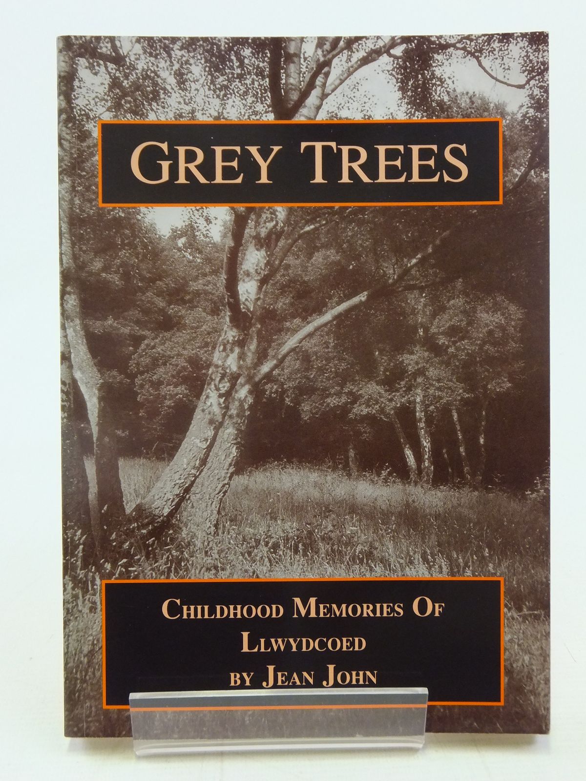 Photo of GREY TREES CHILDHOOD MEMORIES OF LLWYDCOED written by John, Jean published by Jean John (STOCK CODE: 2116541)  for sale by Stella & Rose's Books