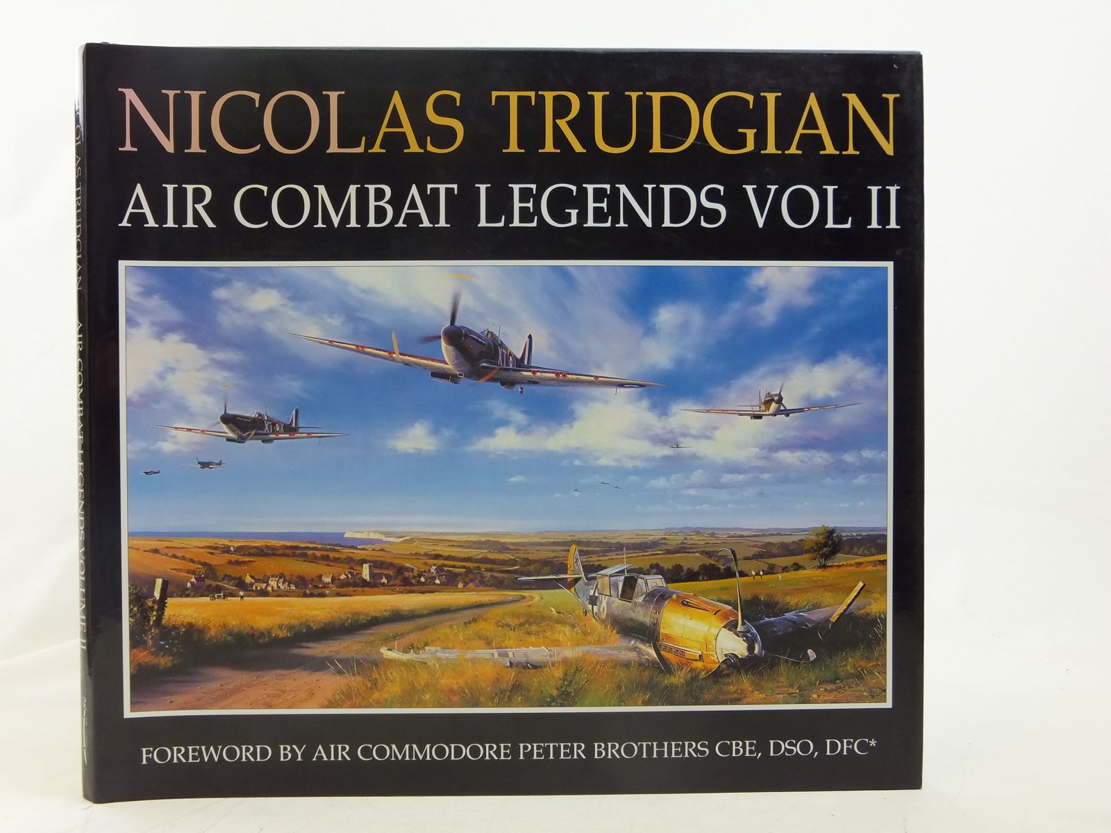 Photo of NICOLAS TRUDGIAN AIR COMBAT LEGENDS VOLUME II written by Trudgian, Nicolas illustrated by Trudgian, Nicolas published by Spellmount Ltd. (STOCK CODE: 2116548)  for sale by Stella & Rose's Books