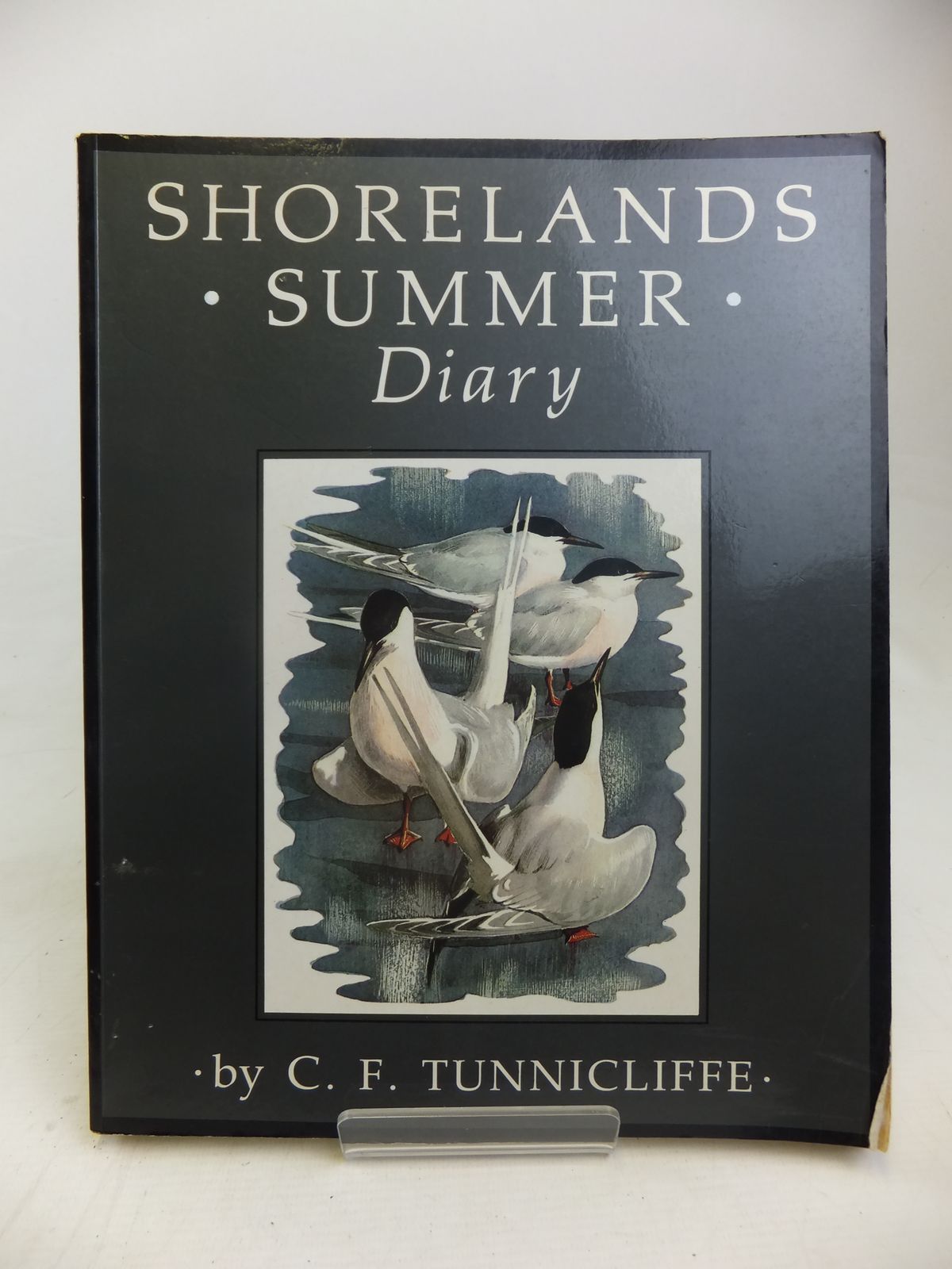 Stella & Rose's Books : SHORELANDS SUMMER DIARY Written By C.F ...