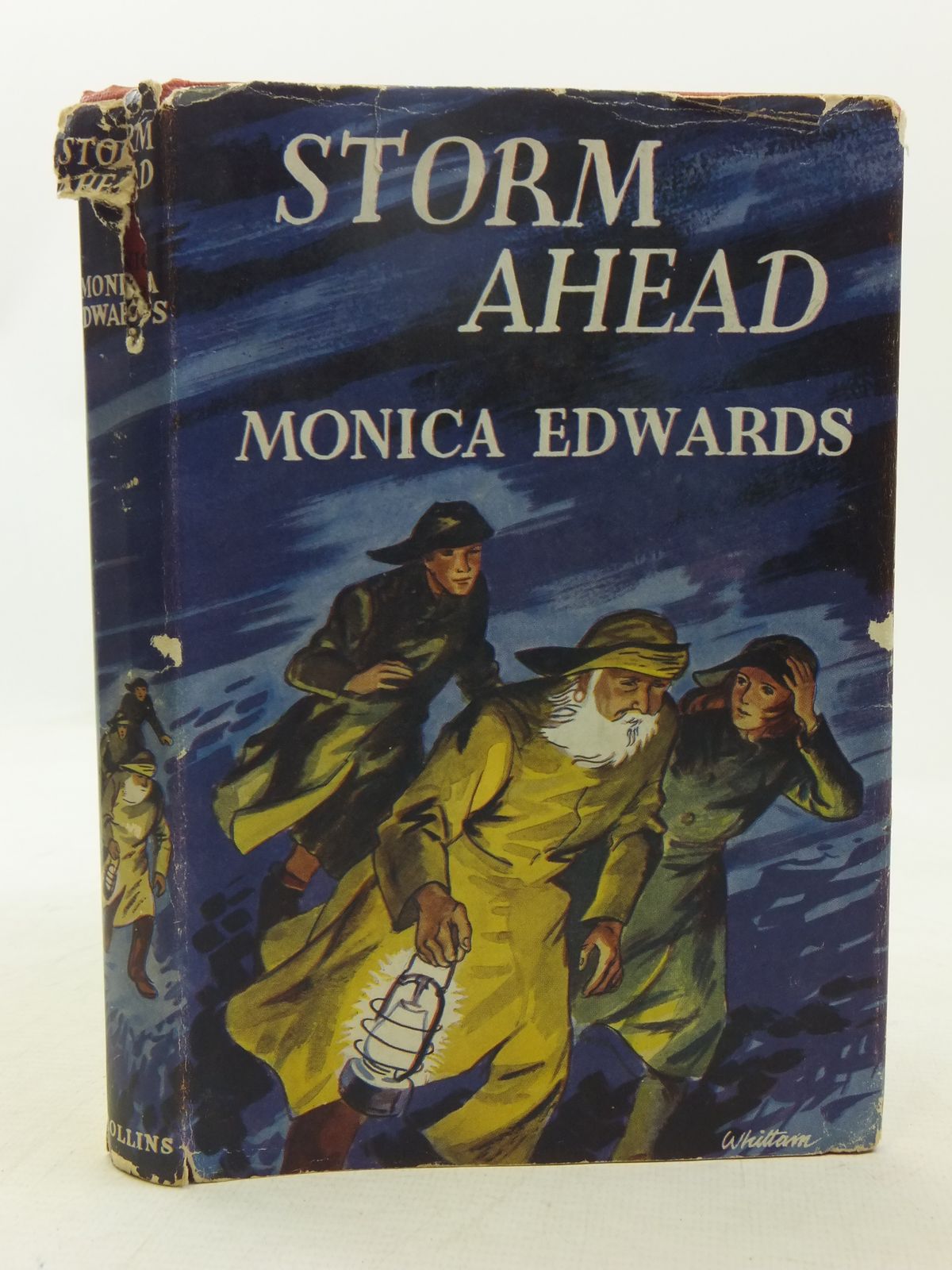 Photo of STORM AHEAD written by Edwards, Monica illustrated by Whittam, Geoffrey published by Collins (STOCK CODE: 2118382)  for sale by Stella & Rose's Books