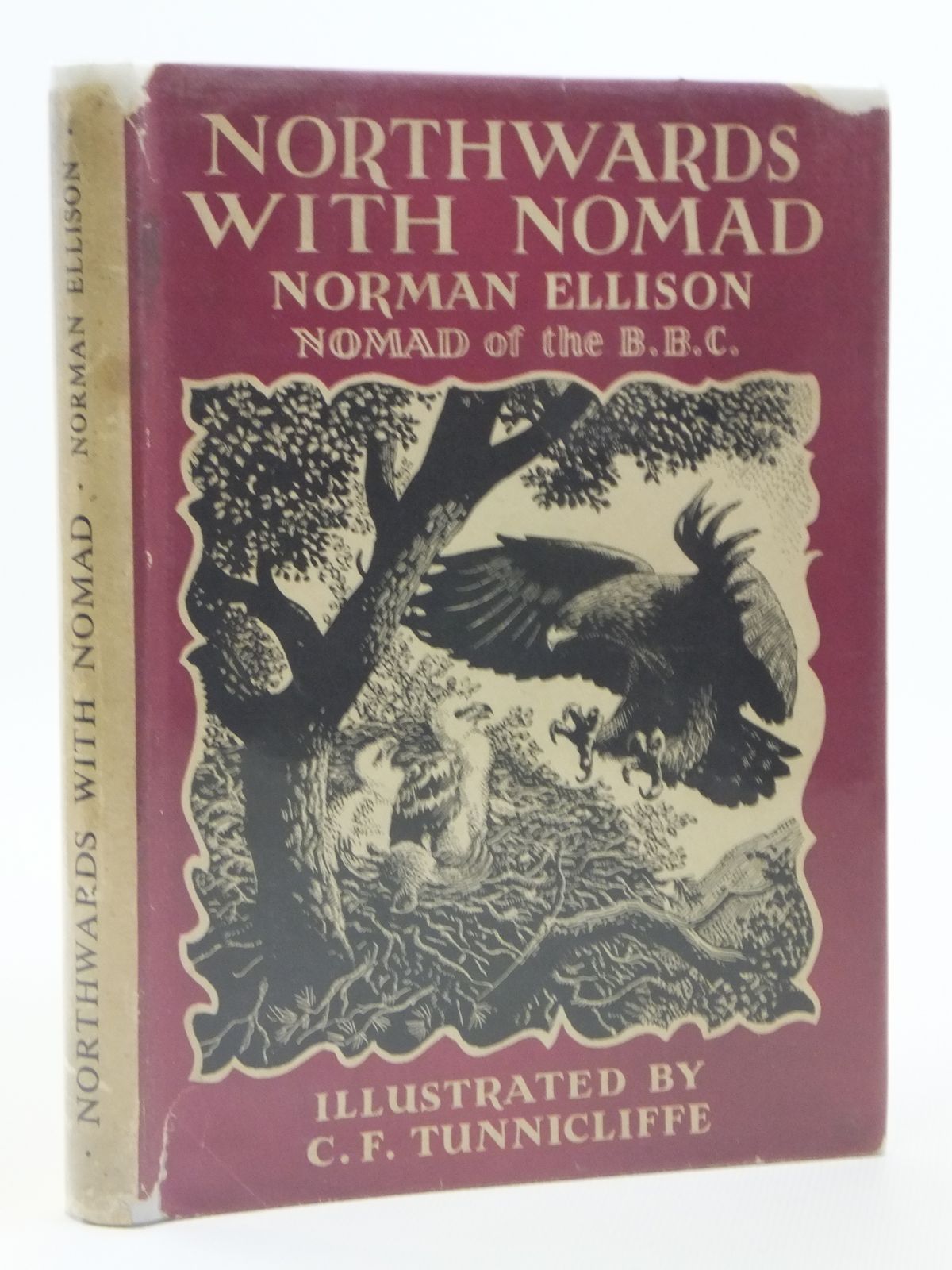 Photo of NORTHWARDS WITH NOMAD- Stock Number: 2120927