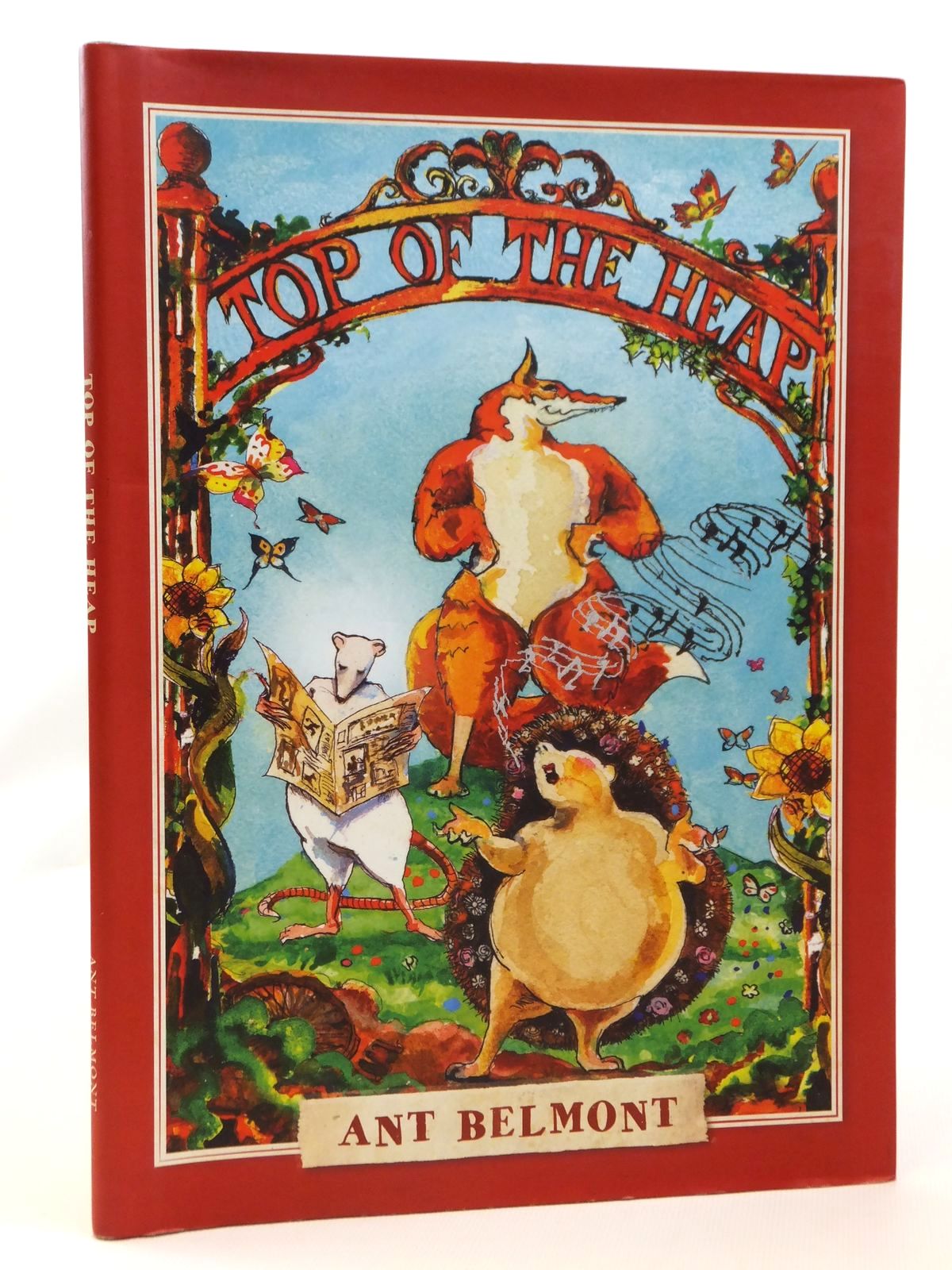 Photo of TOP OF THE HEAP written by Belmont, Ant illustrated by Belmont, Ant published by Ant Belmont (STOCK CODE: 2121934)  for sale by Stella & Rose's Books