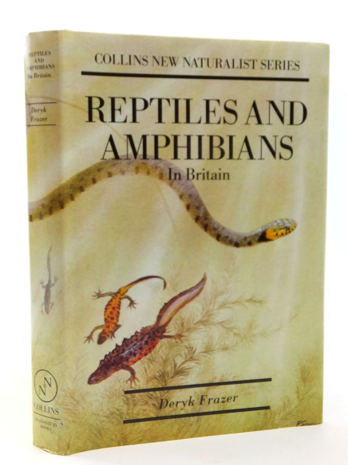 Photo of REPTILES AND AMPHIBIANS IN BRITAIN written by Frazer, Deryk published by Bloomsbury Books (STOCK CODE: 2122325)  for sale by Stella & Rose's Books