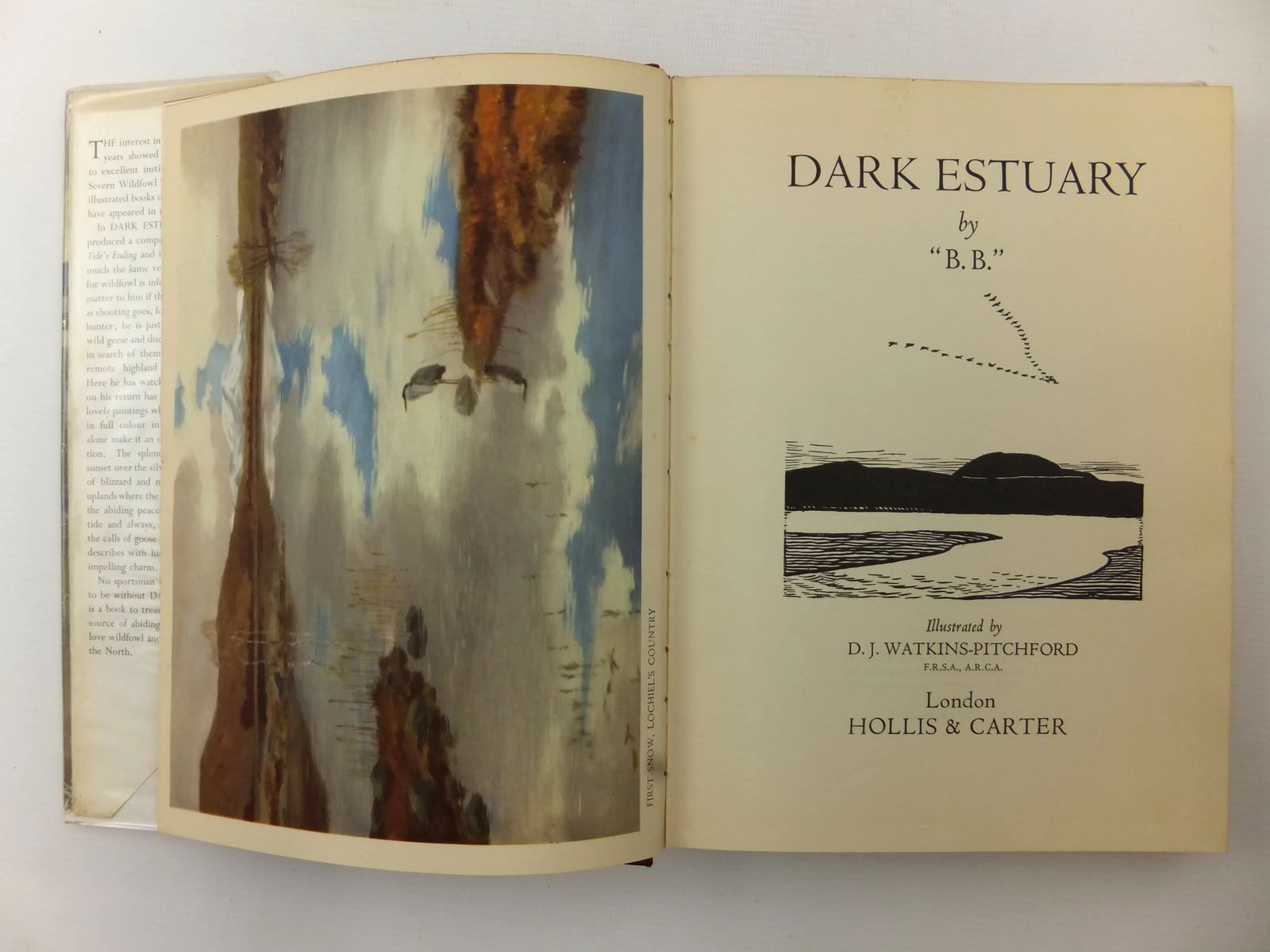 Photo of DARK ESTUARY written by BB,  illustrated by BB,  published by Hollis & Carter (STOCK CODE: 2122674)  for sale by Stella & Rose's Books