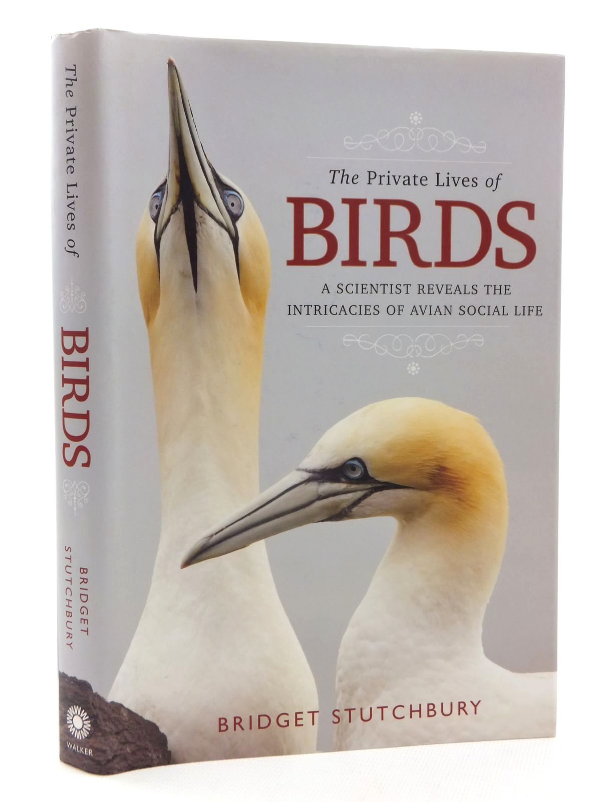 Photo of THE PRIVATE LIVES OF BIRDS written by Stutchbury, Bridget published by Walker And Company (STOCK CODE: 2124022)  for sale by Stella & Rose's Books