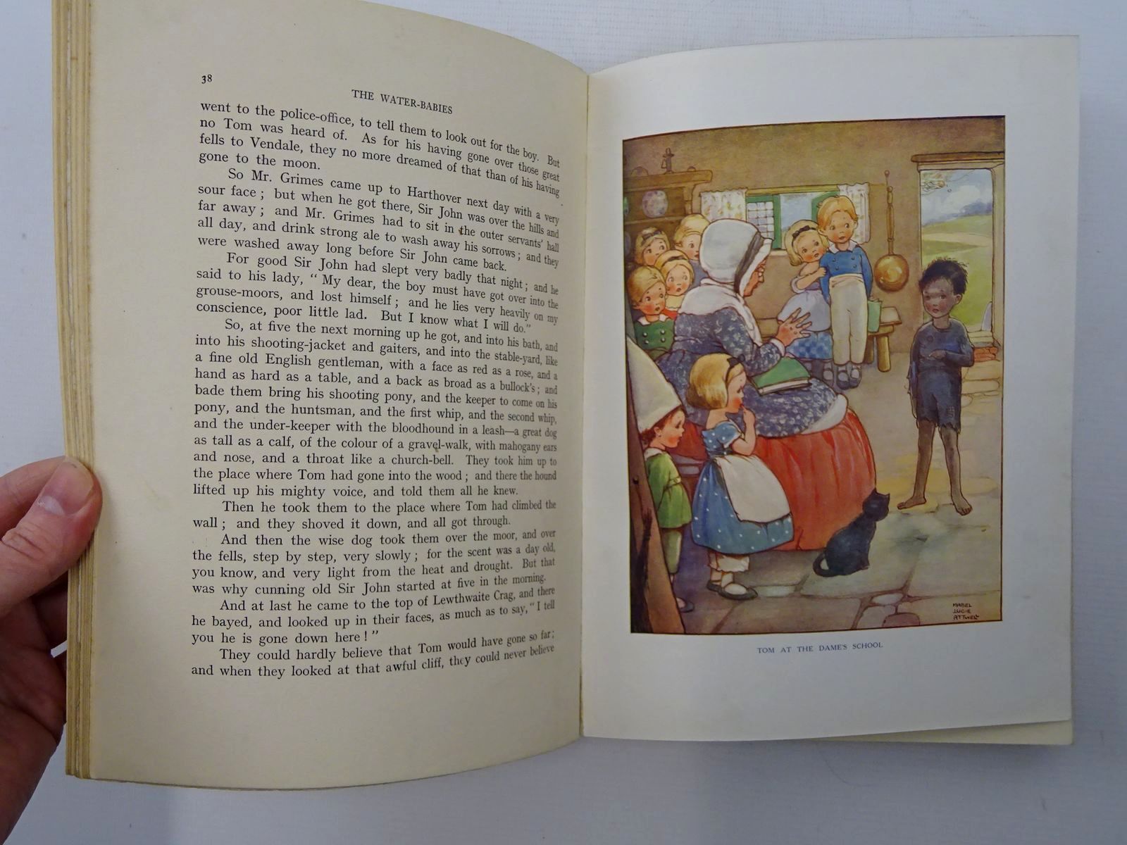 Photo of THE WATER BABIES written by Kingsley, Charles illustrated by Attwell, Mabel Lucie published by Raphael Tuck & Sons Ltd. (STOCK CODE: 2124734)  for sale by Stella & Rose's Books